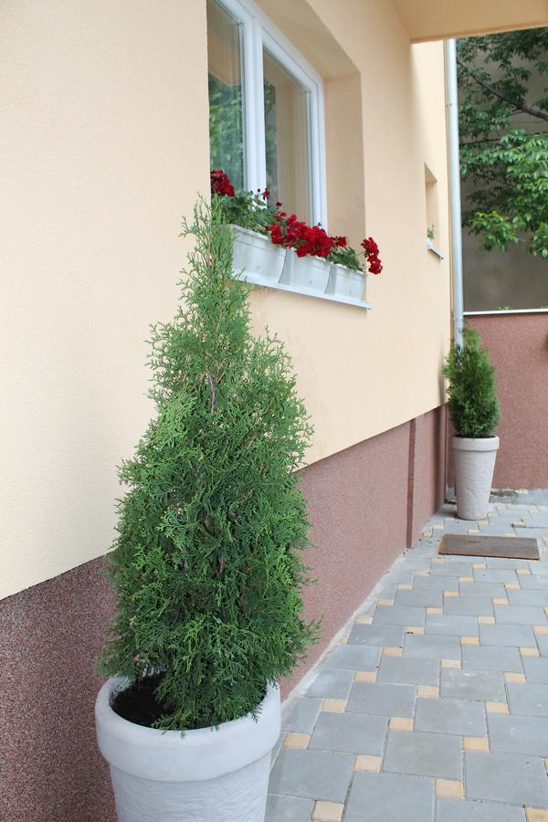 Ferienwohnung Royal Family Ni Exterior foto